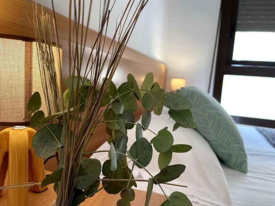 Taima Flats 3 Lejlighed Alicante Eksteriør billede