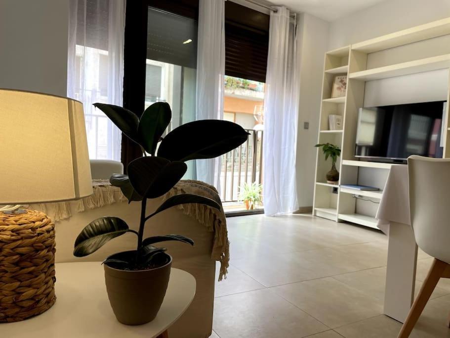 Taima Flats 3 Lejlighed Alicante Eksteriør billede